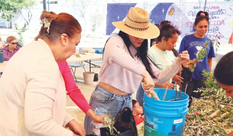 INSTITUTO MUNICIPAL DE LA MUJER Concluye con éxito taller de lombricomposta