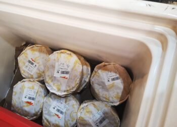 Inspecciona Coepris tortillerías