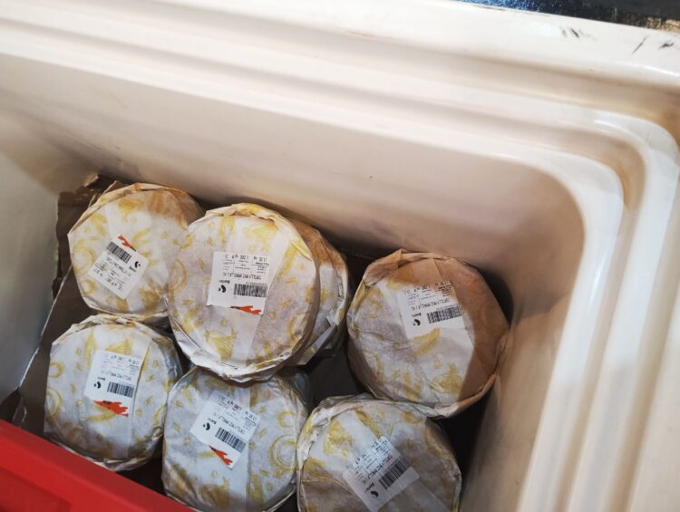 Inspecciona Coepris tortillerías