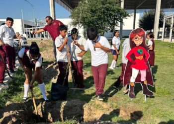 Invitan a ciudadanos a plantar árboles