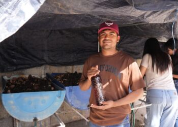 Desarrolla la UAT biofertilizantes líquidos