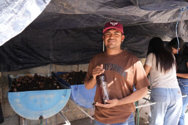 Desarrolla la UAT biofertilizantes líquidos