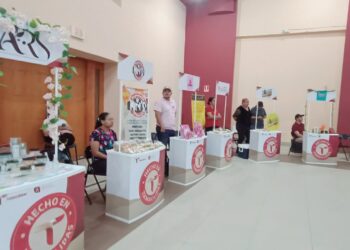 Brinda SE apoyo a MyPimes