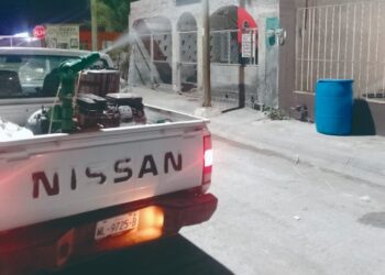 EXHORTAN A LIMPIAR PATIOS Fumigación se intensifica por repunte de mosquitos