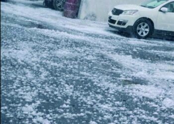 EN LA CIUDAD Se evidencia cambio climático