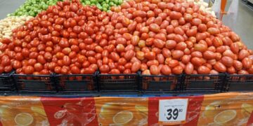 POR CAÍDA DE PRODUCCIÓN Enfrentan presiones el tomate y aguacate