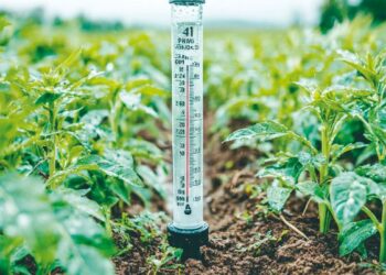 REGISTRAN 3 PULGADAS Anima lluvia a campesinos