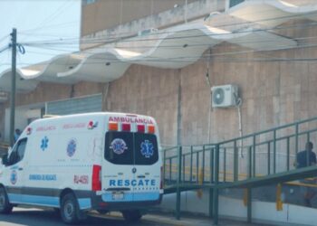 Hospitales garantizan atención por mordeduras