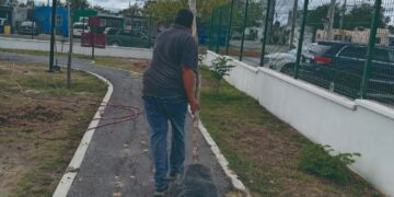 Reforestan plazas y parques