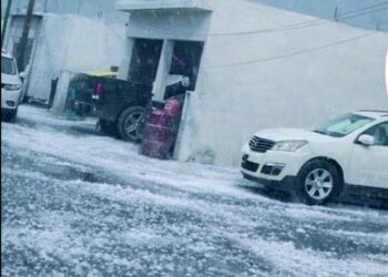 EN LA CIUDAD Se evidencia cambio climático