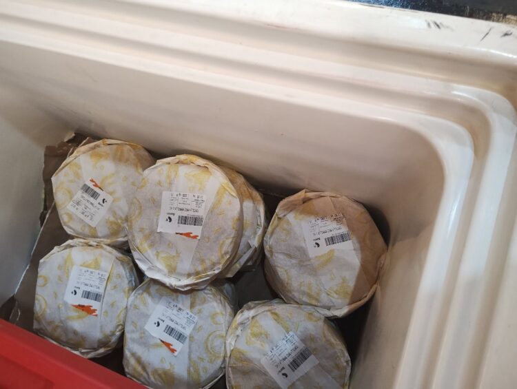 Se mantiene sin alzas precio de las tortillas