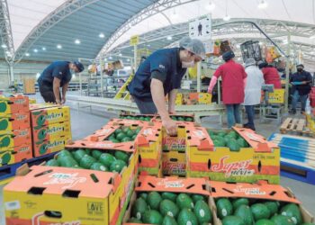 PESE A ARANCELES DE DONALD TRUMP Crecen las exportaciones mexicanas