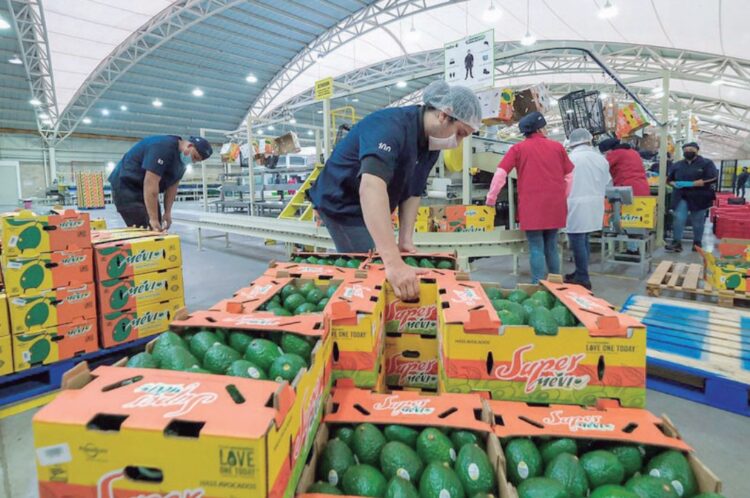 PESE A ARANCELES DE DONALD TRUMP Crecen las exportaciones mexicanas