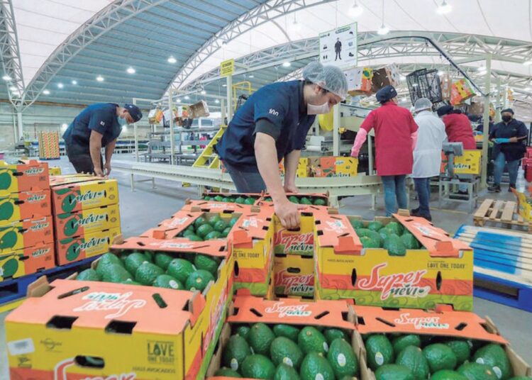 PESE A ARANCELES DE DONALD TRUMP Crecen las exportaciones mexicanas