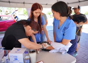 Invitan a jornada de salud para mascotas