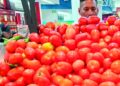 AFECTA A LAS FAMILIAS ‘Por las nubes’ precio del tomate