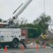 CUADRILLAS DE CFE REPARARON EL DAÑO Tormentas derribaron 10 postes