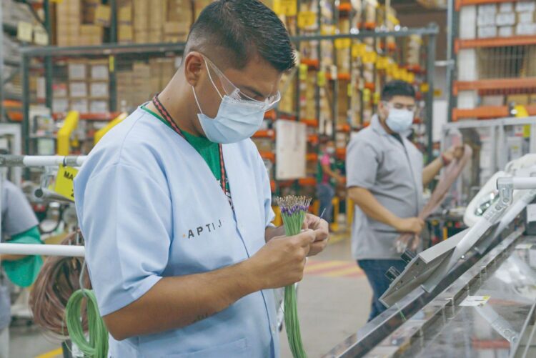 POR COBRO DE ARANCELES Despiden a mil empleados