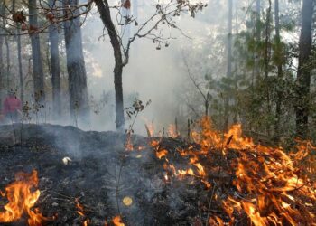 ATAQUE CON DRONES LOS PROVOCAN Incendios en Chernóbil reavivan temor radiactivo