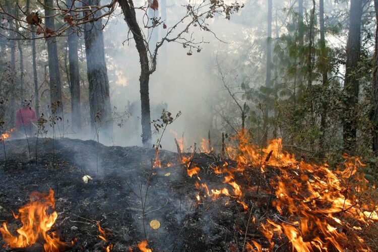 ATAQUE CON DRONES LOS PROVOCAN Incendios en Chernóbil reavivan temor radiactivo