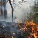 ATAQUE CON DRONES LOS PROVOCAN Incendios en Chernóbil reavivan temor radiactivo