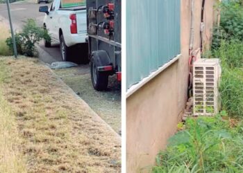 ORDENANZA MUNICIPAL Limpieza o multa