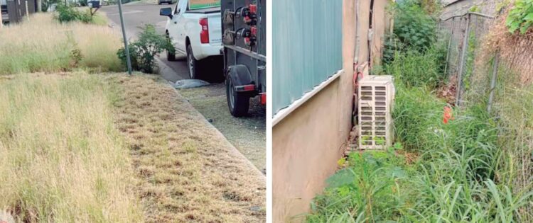 ORDENANZA MUNICIPAL Limpieza o multa