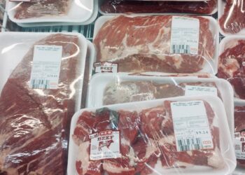 POR PLAGA DE GUSANO BARRENADOR Temen suba precio de la carne