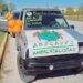 Marcha pro-animales será el 28 de junio