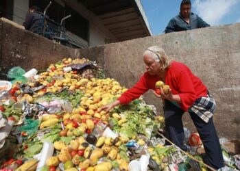 CULTURA DE INDOLENCIA México es líder en tirar comida