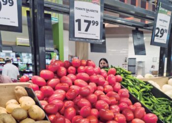 TRAS PRECIOS MÁXIMOS HISTÓRICOS Da el ‘bajón’ precio del tomate