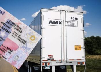 DEPARTAMENTO DE TRANSPORTE Reactivan expedición de licencias comerciales