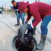 Exhorta Comapa a mantener calles limpias