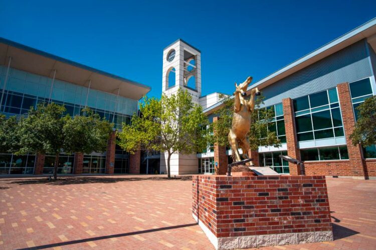 Realizarán simulacro en Laredo College