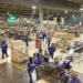 Entregan utilidades a empleados eventuales