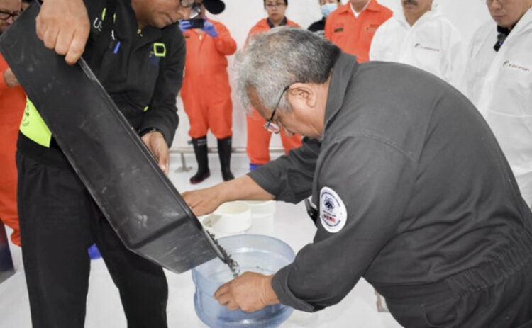 Liberan primer lote de moscas estériles