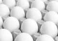 Detectan salmonella en huevos