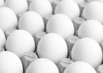 Detectan salmonella en huevos