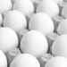 Detectan salmonella en huevos