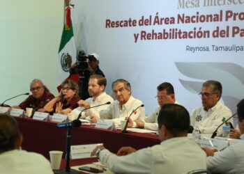 CONSEJO CONSULTIVO Preside Américo segunda mesa intersecretarial