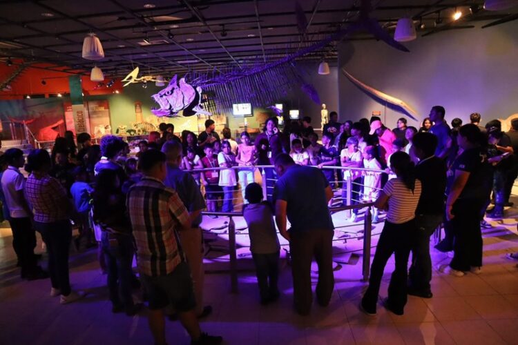 Están abiertos museos del Centro Cultural