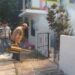 LLUVIAS OCASIONARON PROLIFERACIÓN Intensifican campaña contra mosquitos