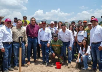 Se suma UAT a reforestación