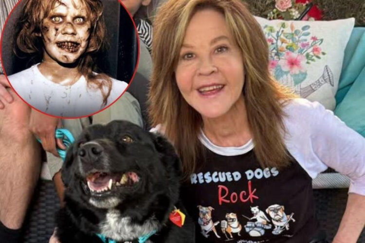 Linda Blair es investigada por operación irregular con perros