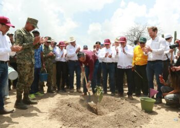 JORNADA NACIONAL DE REFORESTACIÓN 2026 Reforesta Américo en Jaumave