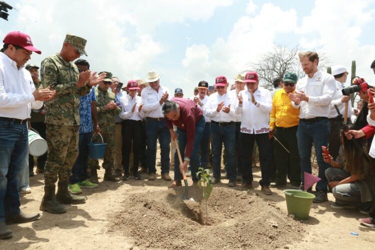 JORNADA NACIONAL DE REFORESTACIÓN 2026 Reforesta Américo en Jaumave