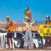 FRONTERA MÉXICO-EU Ponen alto a tala ilegal