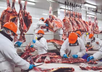 SANIDAD ANIMAL Cierre impacta la carne en EU