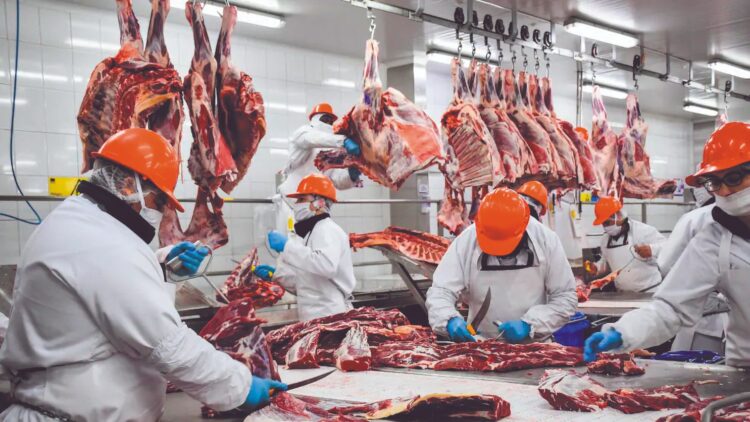 SANIDAD ANIMAL Cierre impacta la carne en EU