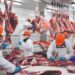 SANIDAD ANIMAL Cierre impacta la carne en EU